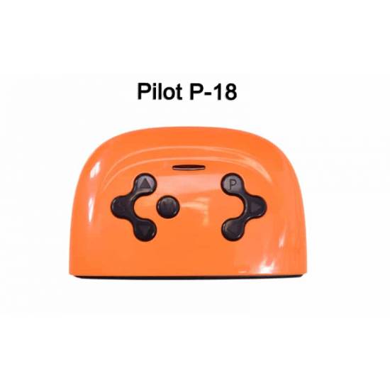 PILOT DO POJAZDÓW 2.4 GHZ - PILOT-P-18-XJL588